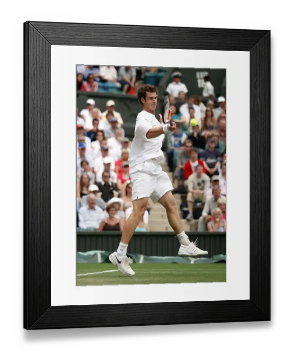 Framed Print : Andy Murray Framed Print : Andy Murray