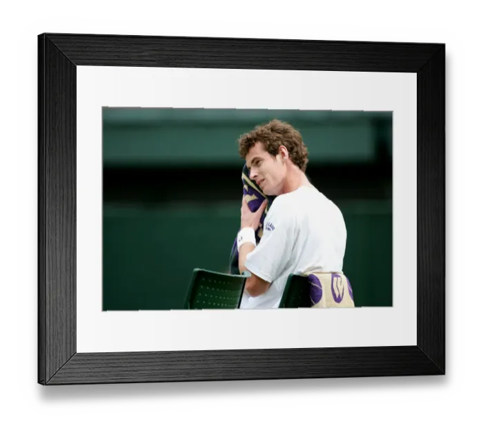 Framed Print : Andy Murray Framed Print : Andy Murray