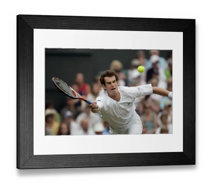 Framed Print : Andy Murray Framed Print : Andy Murray