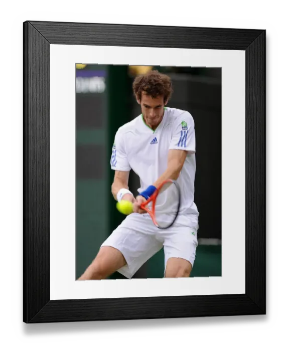 Framed Print : Andy Murray Framed Print : Andy Murray