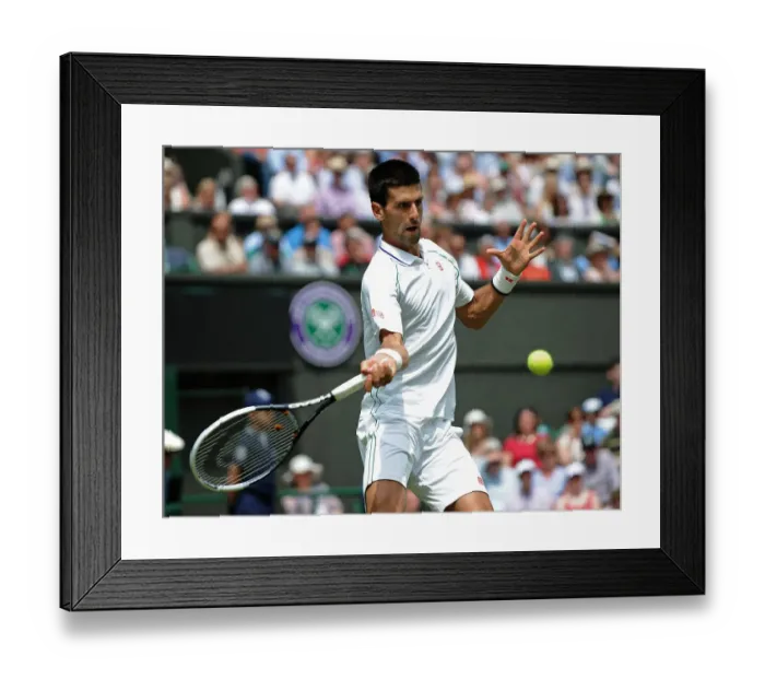 Framed Print : Novak Djokovic Framed Print : Novak Djokovic