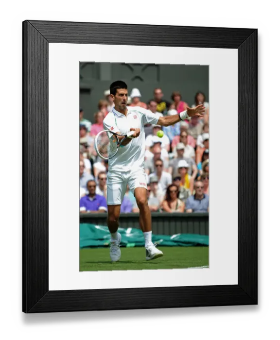 Framed Print : Novak Djokovic Framed Print : Novak Djokovic