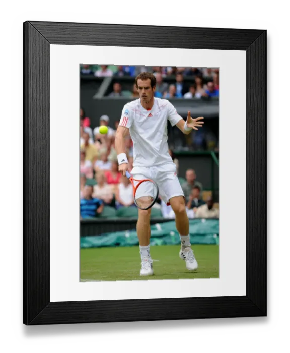 Framed Print : Andy Murray Framed Print : Andy Murray