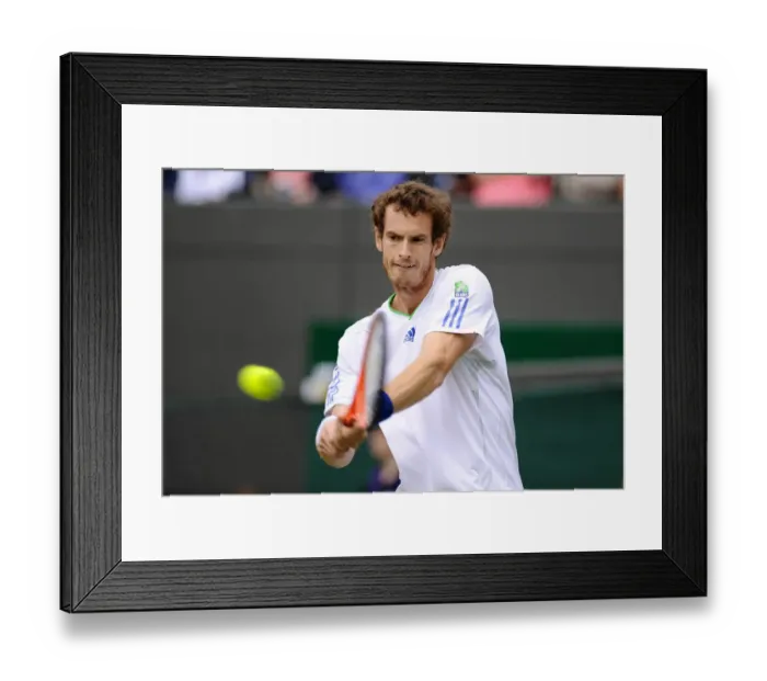 Framed Print : Andy Murray Framed Print : Andy Murray