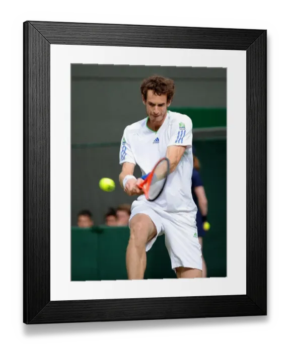 Framed Print : Andy Murray Framed Print : Andy Murray