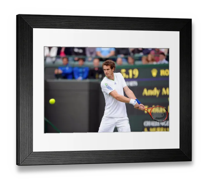 Framed Print : Andy Murray Framed Print : Andy Murray