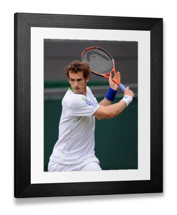 Framed Print : Andy Murray Framed Print : Andy Murray