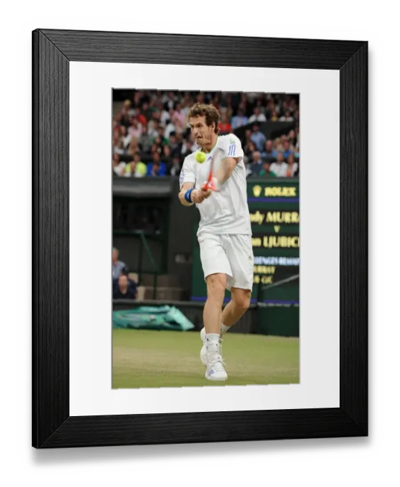 Framed Print : Andy Murray
