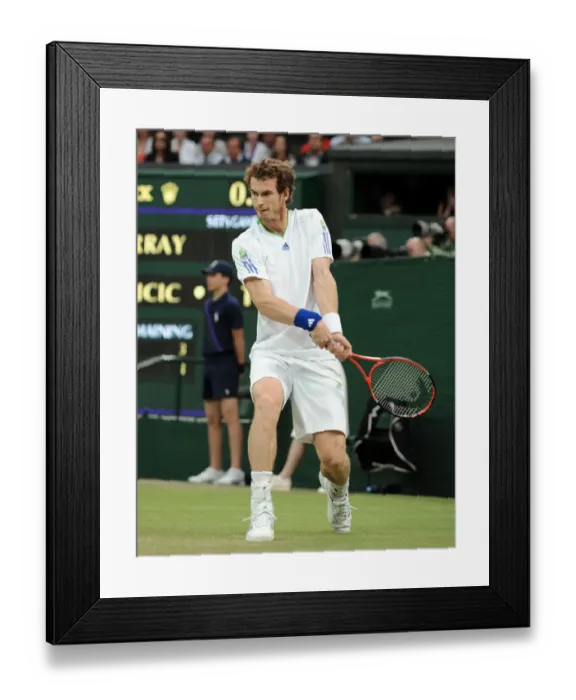 Framed Print : Andy Murray Framed Print : Andy Murray