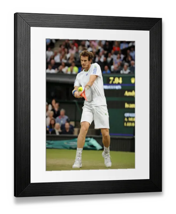 Framed Print : Andy Murray Framed Print : Andy Murray