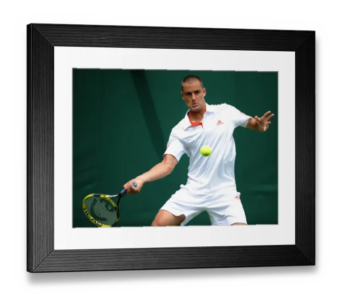 Framed Print : Mikhail Youzhny Framed Print : Mikhail Youzhny