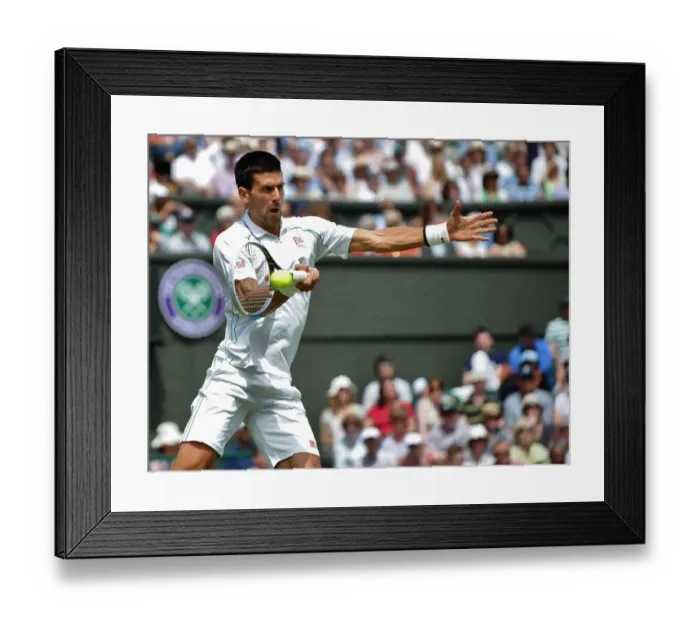 Framed Print : Novak Djokovic Framed Print : Novak Djokovic