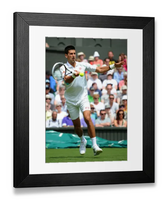 Framed Print : Novak Djokovic Framed Print : Novak Djokovic