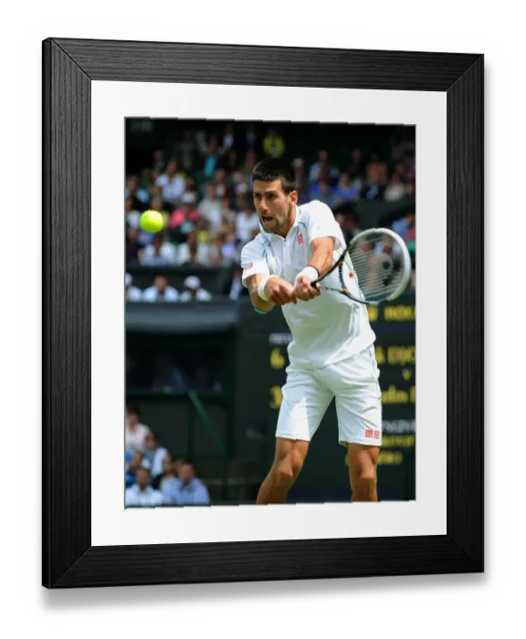 Framed Print : Novak Djokovic Framed Print : Novak Djokovic