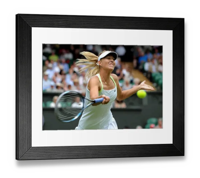 Framed Print : Maria Sharapova Framed Print : Maria Sharapova