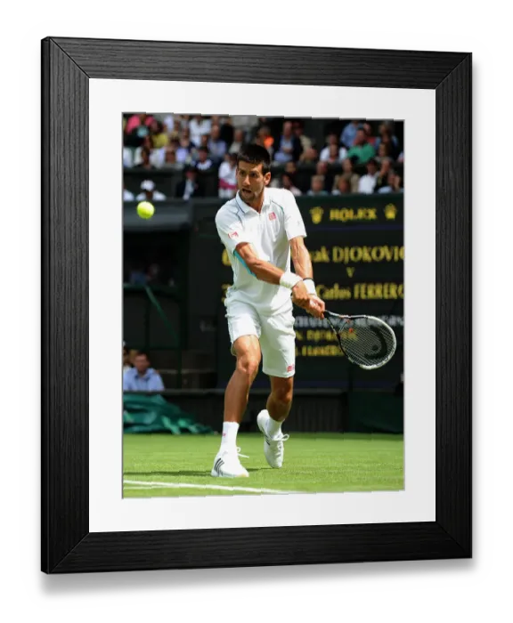 Framed Print : Novak Djokovic Framed Print : Novak Djokovic