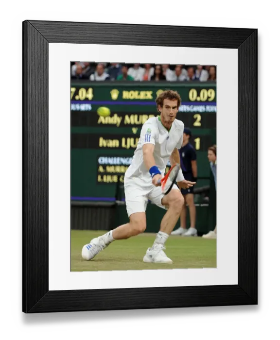 Framed Print : Andy Murray