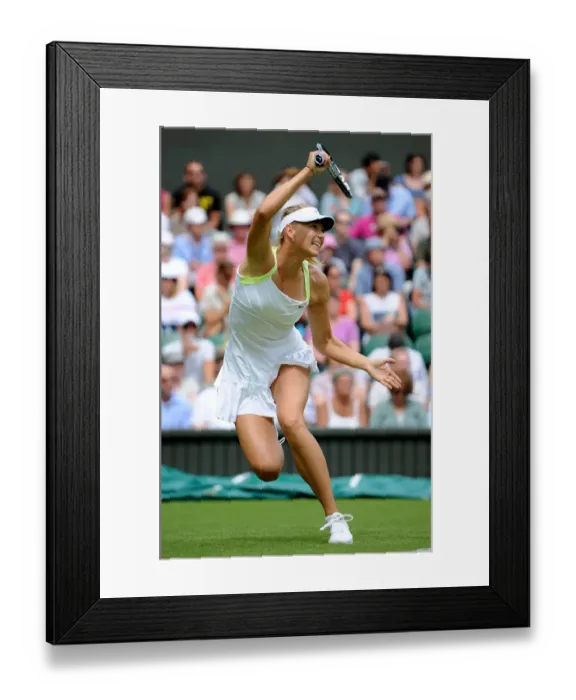 Framed Print : Maria Sharapova Framed Print : Maria Sharapova