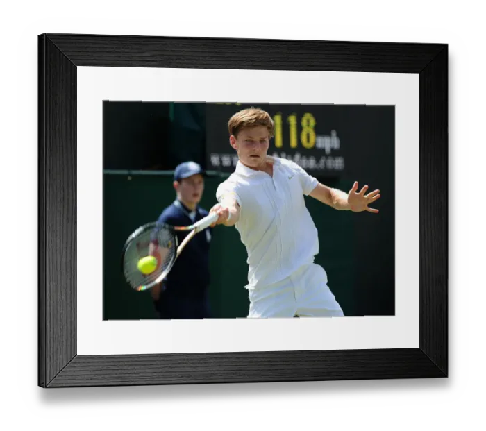 Framed Print : David Goffin