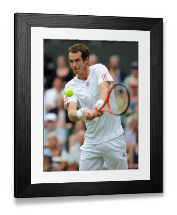 Framed Print : Andy Murray Framed Print : Andy Murray