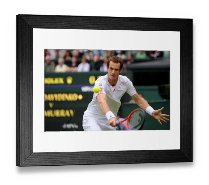 Framed Print : Andy Murray Framed Print : Andy Murray