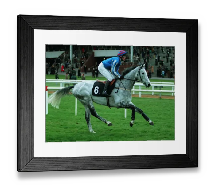 Framed Print : Morceli Ridden By Richard Dunwoody 15 December 1993 Date: 15 December 1993 Framed Print : Morceli Ridden By Richard Dunwoody 15 December 1993 Date: 15 December 1993