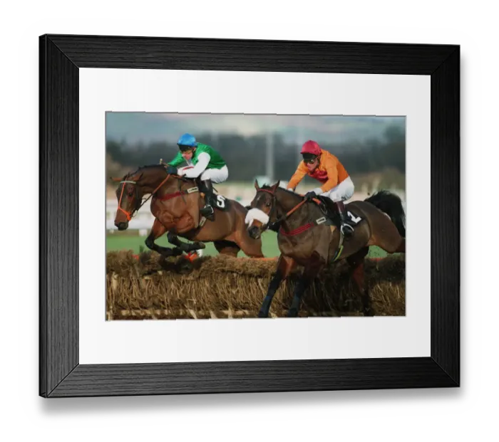 Framed Print : Staunch Friend & Halkopous Framed Print : Staunch Friend & Halkopous