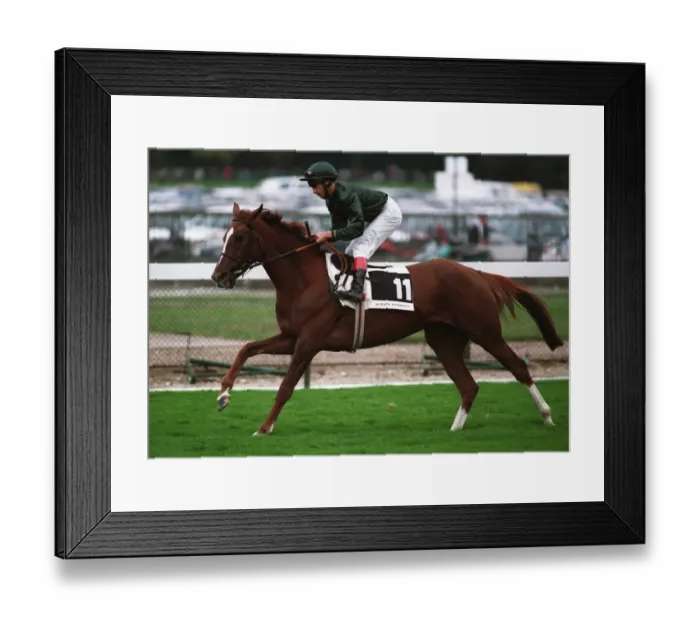 Framed Print : Always Friendly Ridden A Munro