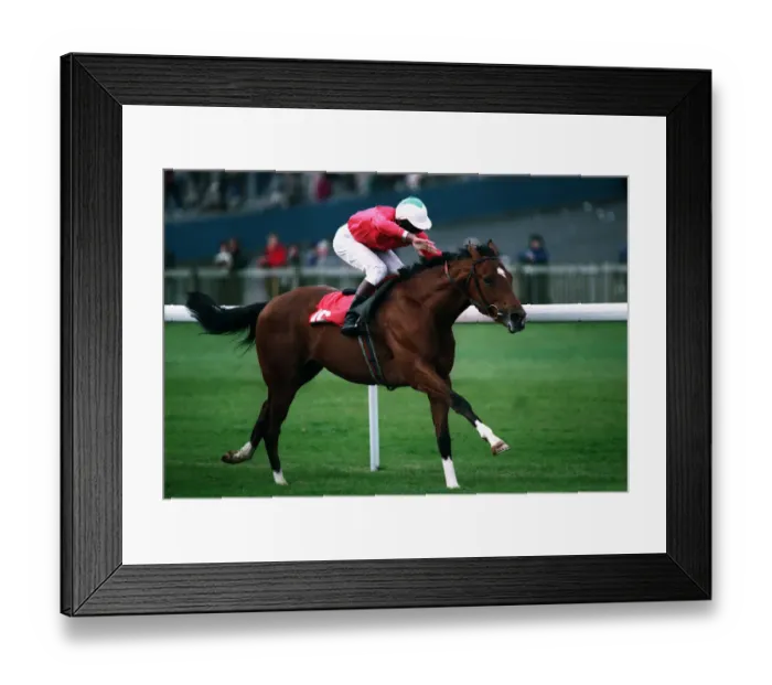 Framed Print : The Deep Wins Myson Mdn Stks Framed Print : The Deep Wins Myson Mdn Stks