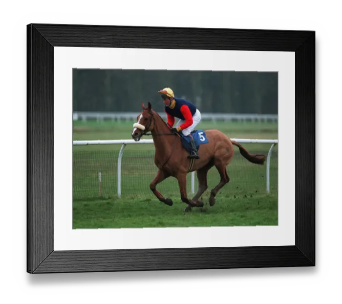Framed Print : Wild Illusion Framed Print : Wild Illusion