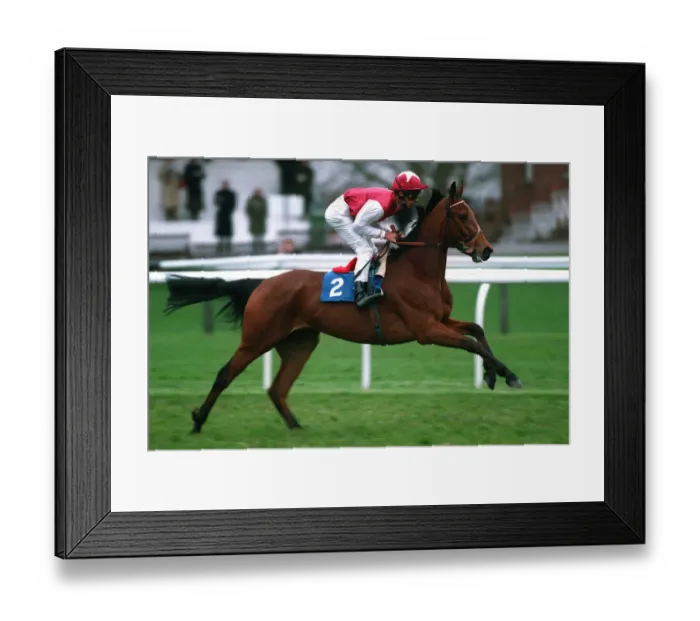 Framed Print : Clovis Point Framed Print : Clovis Point