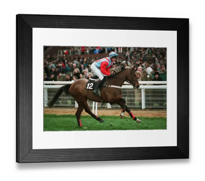 Framed Print : Mudahim Ridden By Warren Marston 29 March 1994 Date: 29 March 1994 Framed Print : Mudahim Ridden By Warren Marston 29 March 1994 Date: 29 March 1994