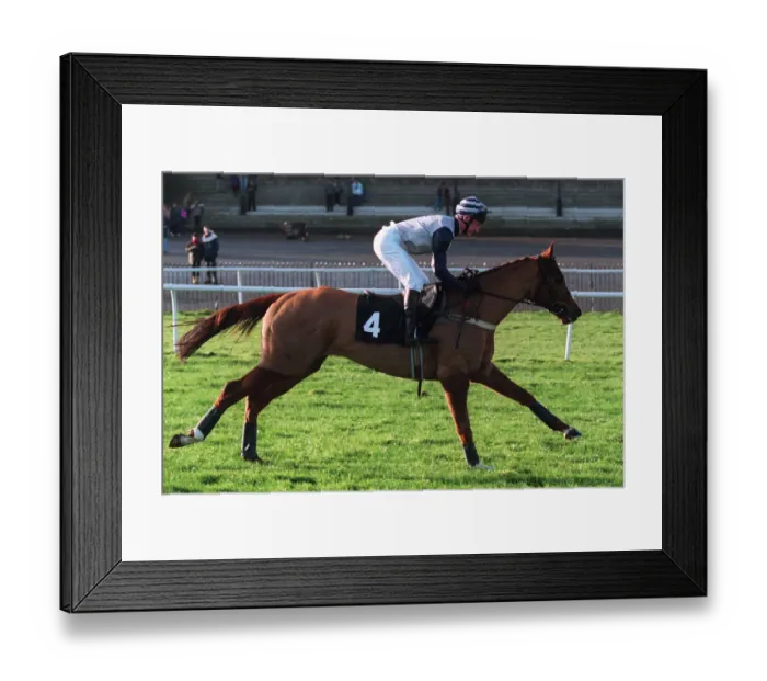 Framed Print : Didacte Ridden By Robert Bellamy 30 December 1993 Date: 30 December 1993 Framed Print : Didacte Ridden By Robert Bellamy 30 December 1993 Date: 30 December 1993