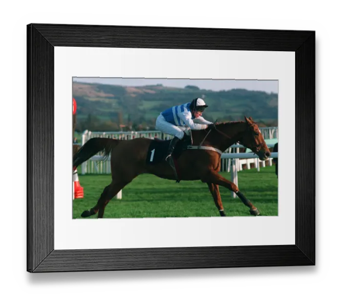 Framed Print : Young Snugfit