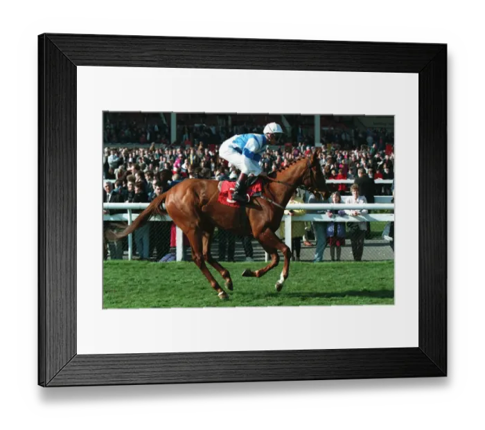 Framed Print : King Rat Ridden By J Weaver 31 March 1994 Date: 31 March 1994 Framed Print : King Rat Ridden By J Weaver 31 March 1994 Date: 31 March 1994