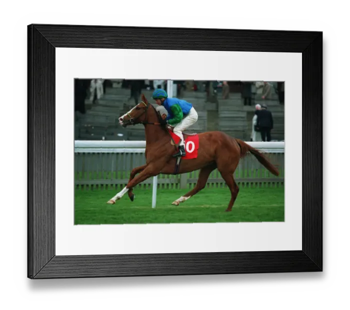 Framed Print : Red Rita Ridden By Richard Quinn 28 April 1994 Date: 28 April 1994 Framed Print : Red Rita Ridden By Richard Quinn 28 April 1994 Date: 28 April 1994