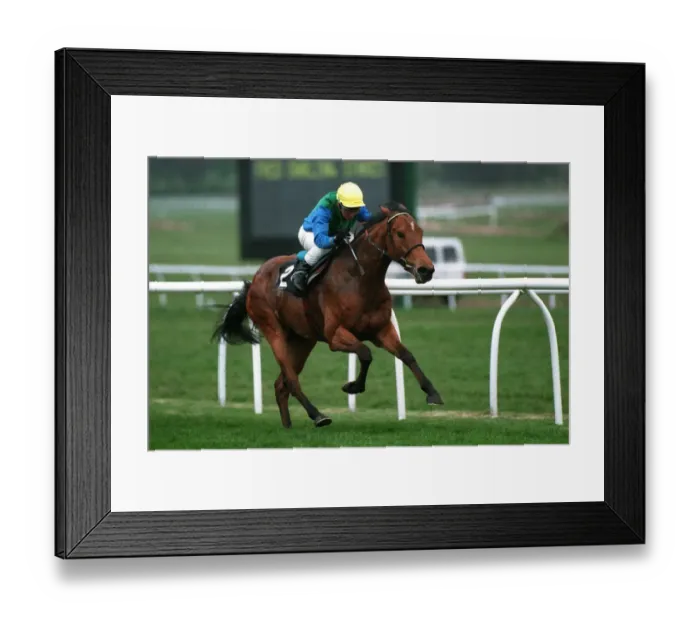 Framed Print : Bulaxie Wins 94 Fred Darling Framed Print : Bulaxie Wins 94 Fred Darling