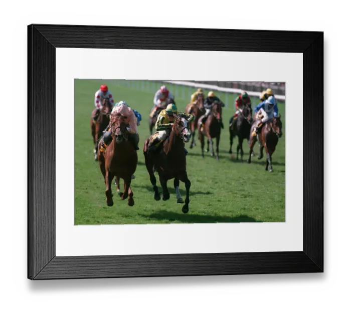 Framed Print : Mister Baileys(J. Weaver) Wins Framed Print : Mister Baileys(J. Weaver) Wins