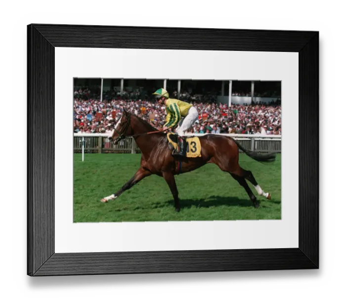 Framed Print : Mister Baileys Framed Print : Mister Baileys