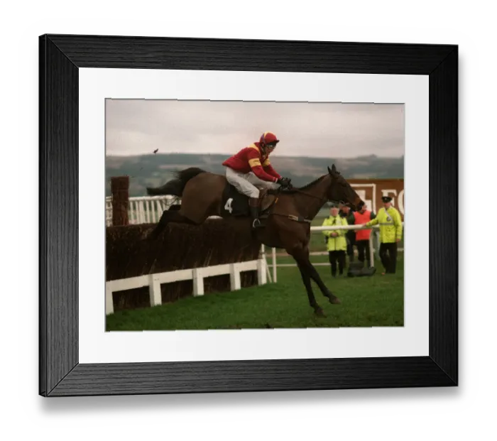 Framed Print : Run For Free Framed Print : Run For Free