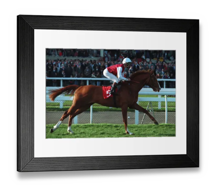 Framed Print : Moonax Ridden By Michael Hills 05 April 1994 Date: 05 April 1994