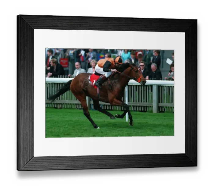 Framed Print : Alriffa Wins 94 Newmarket Stks Framed Print : Alriffa Wins 94 Newmarket Stks