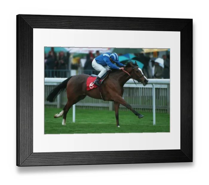 Framed Print : Mehthaaf Wins 94 Nell Gwyn Framed Print : Mehthaaf Wins 94 Nell Gwyn