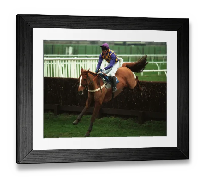 Framed Print : Royal Pavilion Framed Print : Royal Pavilion