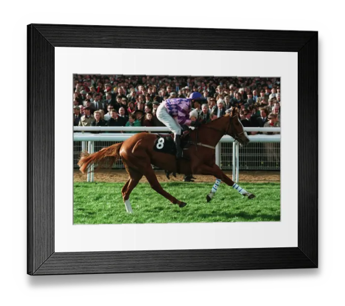 Framed Print : Merchant House