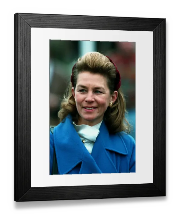 Framed Print : Penny Hills Framed Print : Penny Hills
