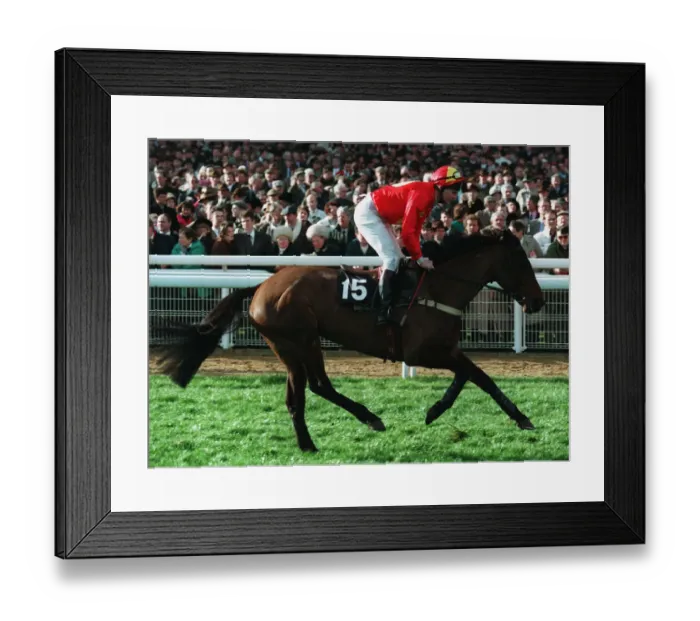 Framed Print : Flakey Dove Framed Print : Flakey Dove