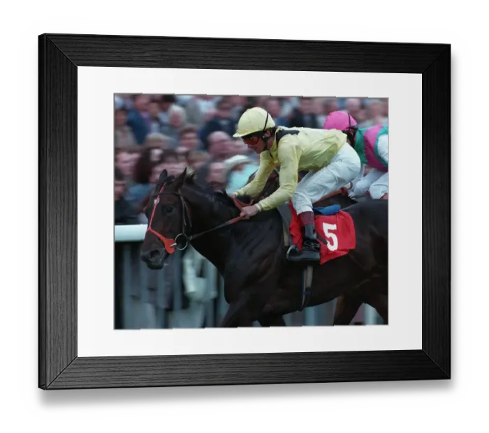 Framed Print : Raah Algharb Wins Roses Stks Framed Print : Raah Algharb Wins Roses Stks
