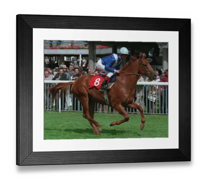 Framed Print : Takkatamm Ridden By Walter Swinburn 19 August 1994 Date: 19 August 1994 Framed Print : Takkatamm Ridden By Walter Swinburn 19 August 1994 Date: 19 August 1994