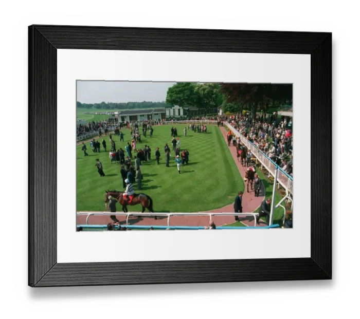 Framed Print : York Gv Of Parade Ring Framed Print : York Gv Of Parade Ring